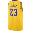 Dres Nike NBA Lebron James Lakers Icon Edition 2020 Swingman ''Yellow''