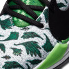 Nike Zoom Freak 2 ''Naija''