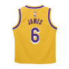 Dječji set Nike NBA LA Lakers Icon Edition Box Jersey & Shorts ''Lebron James''