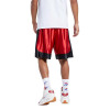 Kratke hlače Rebook Classics Allen Iverson i3 Basketball ''Flash Red''