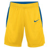 Ženske kratke hlače Nike Team Basketball Stock ''Yellow''