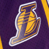 Kratke hlače M&N NBA Los Angeles Lakers 2009-10 Doodle Swingman ''White''