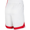 Kratke hlače Nike NBA Brooklyn Nets Classic Edition ''White/Blue/Red''