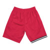 Kratke hlače M&N NBA Miami Heat 1996-97 Swingman ''Red''