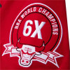 Kratka majica M&N NBA Chicago Bulls Champ City ''Red''