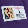 Kratka majica M&N NBA All-Star Weekend 1995 ''Purple''