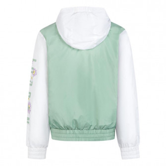 Otroški hoodie Air Jordan Sleeve Graphic Full-Zip ''White/Green''