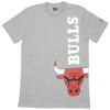 Kratka majica New Era Chicago Bulls ''Grey''