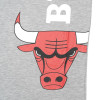 Kratka majica New Era Chicago Bulls ''Grey''