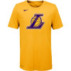 Otroška majica Nike NBA LA Lakers Logo