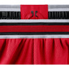 Kratke hlače Chicago Bulls Nike Icon Edition Authentic