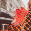 adidas Dame 6 ''Solar Red''