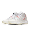 Air Jordan 11 "Platinum Tint"