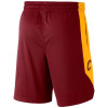 Kratke hlače Nike Dry NBA Cleveland Cavaliers Practice