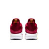 Nike Lebron Witness