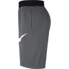 Kratke hlače Nike Dri-FIT ''Iron Grey''