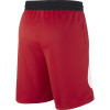 Kratke hlače Nike Dri-FIT Swoosh Basketball ''Red''