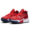 Nike Air Zoom BB NXT ''USA''