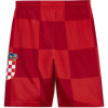 Air Jordan Limited Croatia Shorts ''Road''