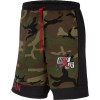 Kratke hlače Air Jordan Jumpman Classics Camo Fleece ''Medium Olive''