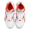 Nike Air Flight 89 ''Rucker Park''