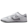 Nike Dunk Low Retro ''Grey White''