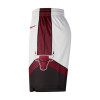 Kratke hlače Nike Dri-FIT NBA Chicago Bulls City Edition Swingman ''Team Crimson''