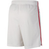 Kratke hlače Nike NBA Philadelphia 76ers City Edition Swingman ''White''