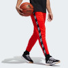 Trenirka adidas Pro Madness ''Active Red''