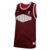 Dres Nike Lebron x Liverpool FC DNA ''Burgundy Crush''