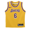 Otroški komplet Nike NBA LA Lakers Icon Edition Box Jersey & Shorts ''Lebron James''