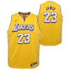Otroški dres Nike Los Angeles Lakers Lebron James City Edition ''Amarillo''