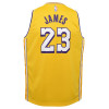 Otroški dres Nike Los Angeles Lakers Lebron James City Edition ''Amarillo''