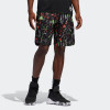 Kratke hlače adidas Harden Swagger ''Black/Multicolor''