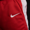 Kratke hlače Nike Team Basketball ''Red''