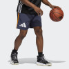 Kratke hlače adidas Legends Basketball ''Shanav''