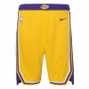 Otroške kratke hlače Nike NBA Los Angeles Lakers Icon Edition 2020 Swingman ''Yellow''