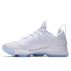 Nike Lebron Ice White