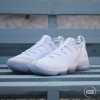 Nike Lebron Ice White