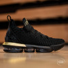 Nike Lebron XVI ''I'm King''