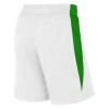 Kratke hlače Nike TeamWear Basketball Stock ''White/Green''