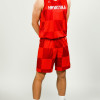 Air Jordan Limited Croatia Shorts ''Road''