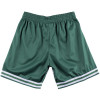 Kratke hlače M&N NBA Boston Celtics ''Green''