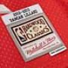 Dres M&N NBA Portland Trail Blazers 2012-2013 Alternate Swingman ''Damian Lillard''