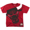 Kratka majica M&N NBA Chicago Bulls ''Red''