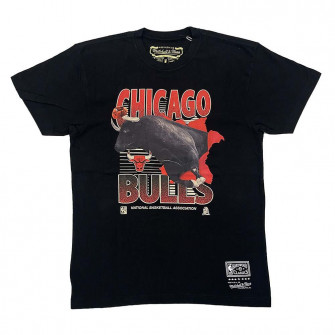 M&N NBA Chicago Bulls Scienic T-Shirt ''Black''