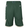Nike NBA Milwaukee Bucks Icon Edition Swingman Kids Shorts ''Green''