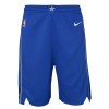 Nike NBA Icon Swingman Dallas Mavericks Kids Shorts ''Blue''