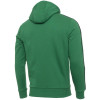 New Era Boston Celtics Striped Hoodie ''Green''