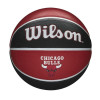 Wilson NBA Chicago Bulls Team Tribute Outdoor Basketball (7)